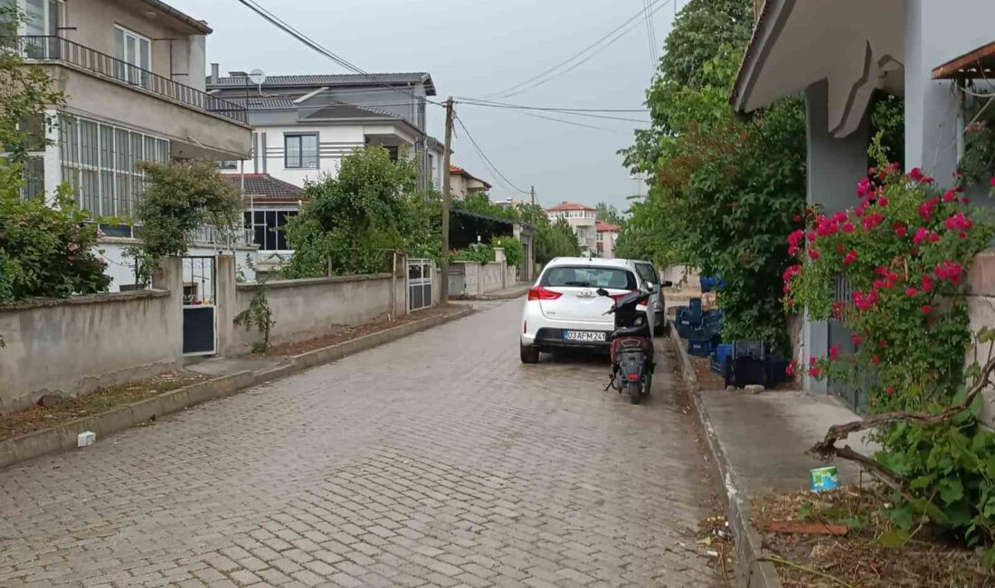 Afyonkarahisar’da akşam saatlerinde etkili olan yağış hayatı olumsuz etkiledi. Kentte,