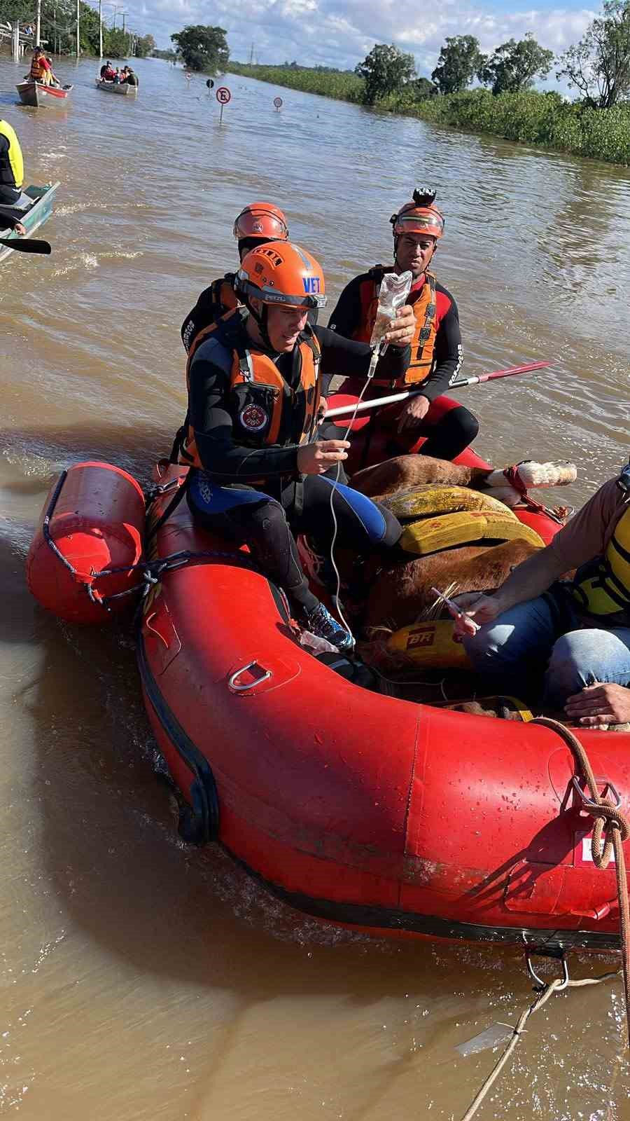 Güney Amerika ülkesi Brezilya’nın Rio Grande do Sul eyaletinde meydana