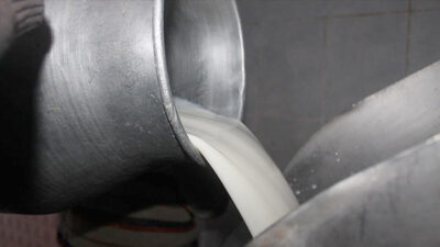 
Türkiye'de geçen yıl üretilen çiğ süt miktarı yıllık bazda yüzde