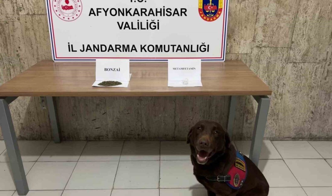 Afyonkarahisar’da jandarma ekipleri takibe aldıkları bir araçta değişik türlerde uyuşturucu