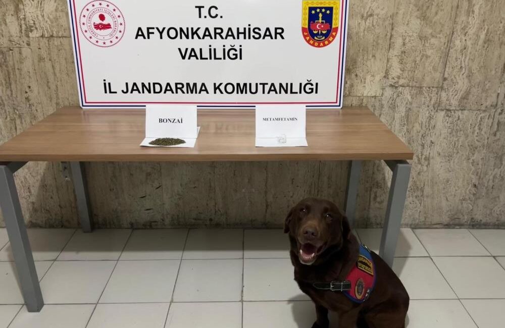 Afyonkarahisar’da jandarma ekipleri takibe aldıkları bir araçta değişik türlerde uyuşturucu
