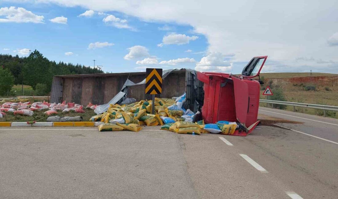 AFYONKARAHİSAR’DA KONTROLDEN ÇIKAN HAYVAN YEMİ YÜKLÜ TIR DEVRİLİRKEN, KAZADA ÖLEN