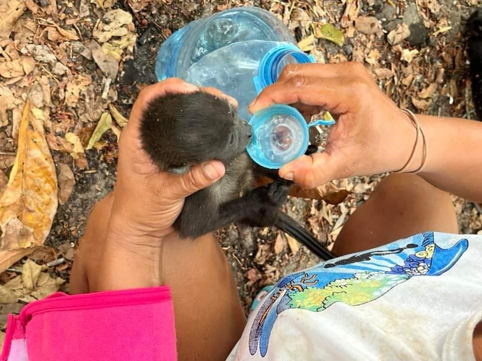 KUZEY AMERİKA ÜLKESİ MEKSİKA’NIN CHİAPAS VE TABASCO EYALETLERİNDE 45 DERECEYİ
