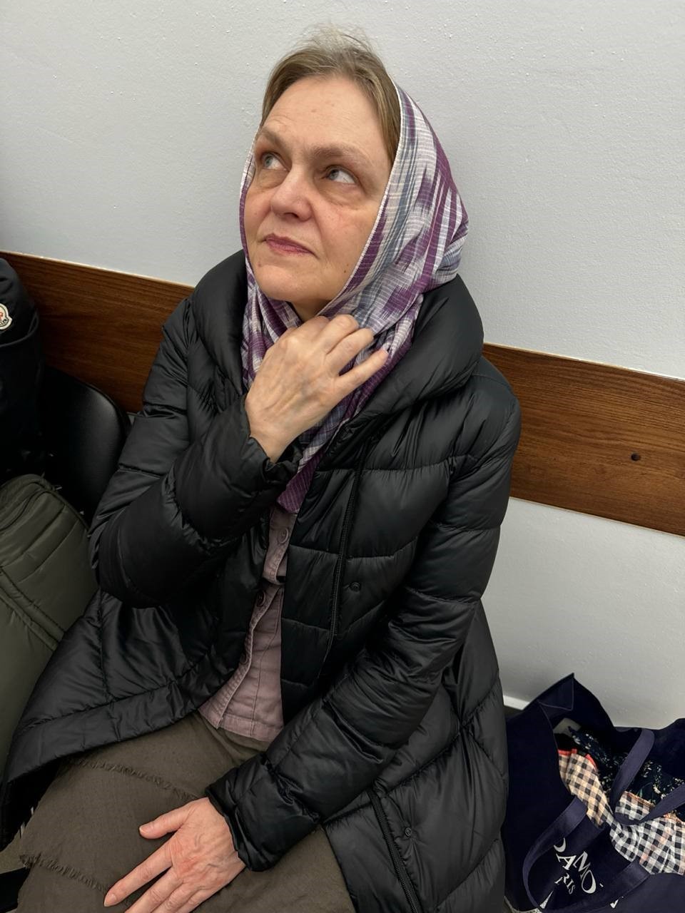 Rusya Soruşturma Komitesi, Orta Doğu üzerine çalışan gazeteci Nadezhda Kevorkova’nın