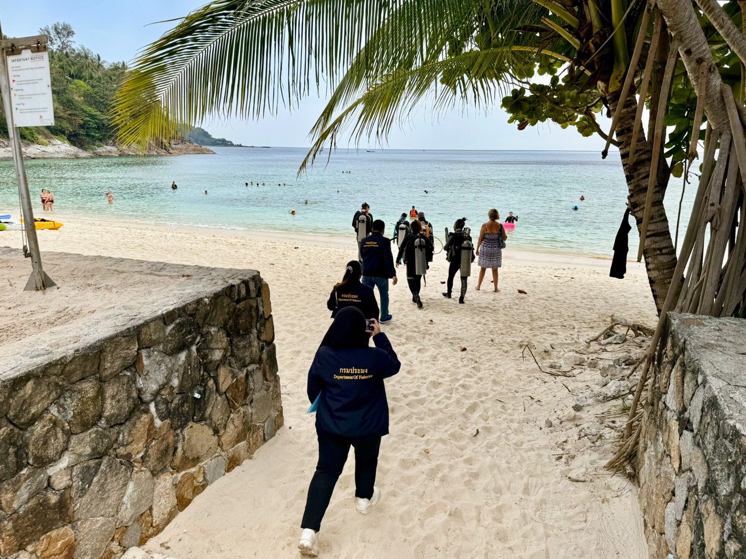 Tayland hükümeti, denizlerdeki mercan resiflerinin görülen ağarmanın hızla yayılması nedeniyle