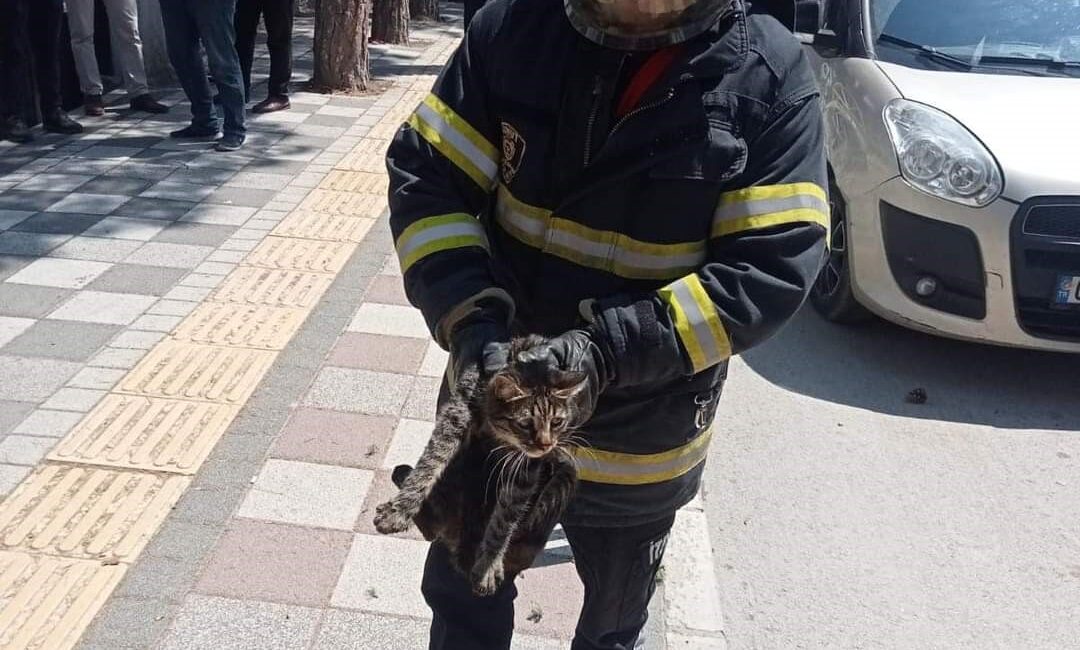 Afyonkarahisar’da tırmandığı ağaçta mahsur kalan kedi itfaiye ekipleri tarafından kurtarıldı.