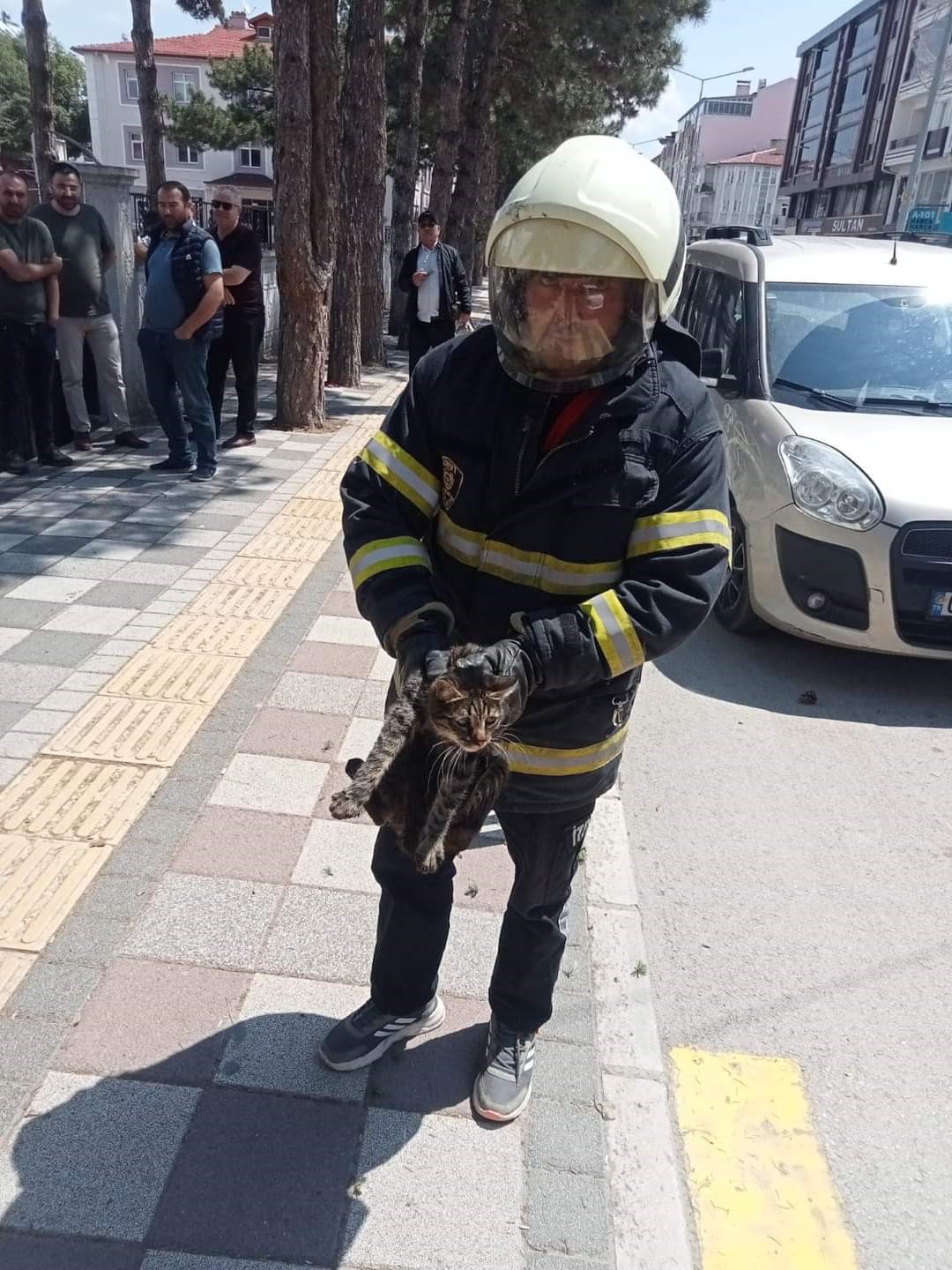 Afyonkarahisar’da tırmandığı ağaçta mahsur kalan kedi itfaiye ekipleri tarafından kurtarıldı.