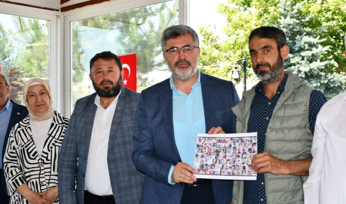 AK Parti Afyonkarahisar Milletvekili Ali Özkaya, İscehisar ilçesinde sokak köpekleriyle