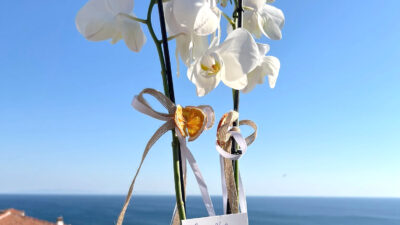 İYİ Parti Genel Başkan Yardımcısı ve Afyonkarahisar Milletvekili Hakan Şeref