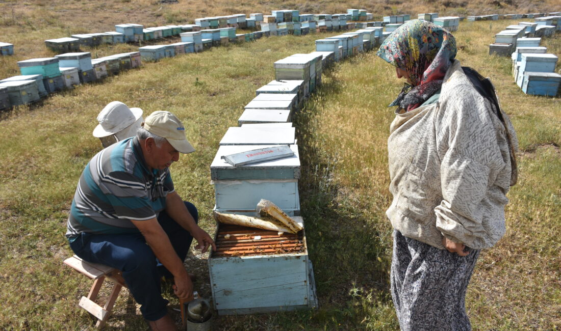   Muğla’nın Köyceğiz ilçesi ile Afyonkarahisar arasında arı kovanlarıyla 30