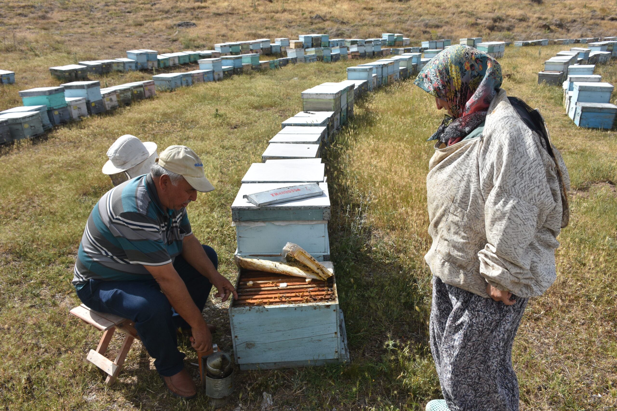   Muğla’nın Köyceğiz ilçesi ile Afyonkarahisar arasında arı kovanlarıyla 30