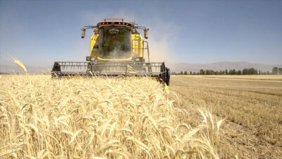   Tarımsal girdi fiyat endeksi (Tarım-GFE), nisanda aylık bazda yüzde