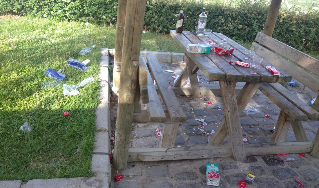 Afyonkarahisar Kent Ormanı içerisinde bulunan çöp kutularının hemen yanında olmasına