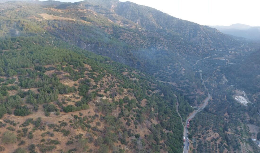 Aydın’ın Kuyucak ilçesindeki ormanlık alanda çıkan yangın kontrol altına alındı.