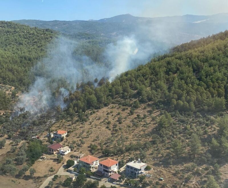 Muğla’nın Milas ilçesinde çıkan orman yangınına havadan ve karadan müdahale