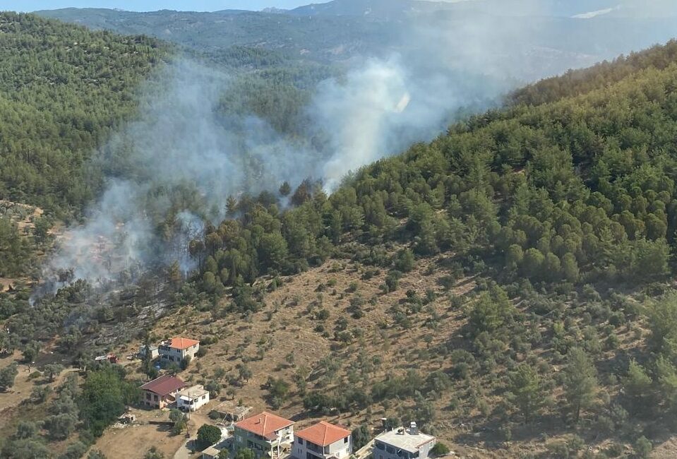 Muğla’nın Milas ilçesinde çıkan orman yangınına havadan ve karadan müdahale