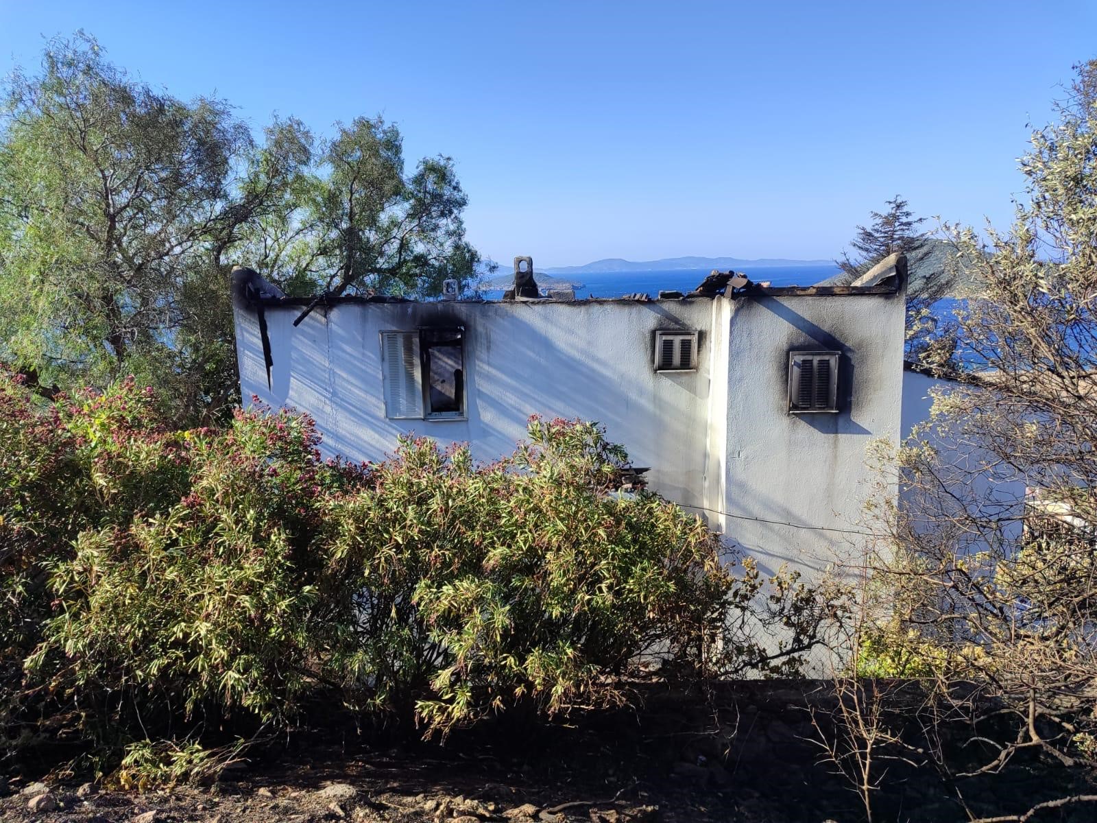 İzmir’in Dikili ilçesinde otluk alanda çıkan ve zeytinlik alana sıçrayan
