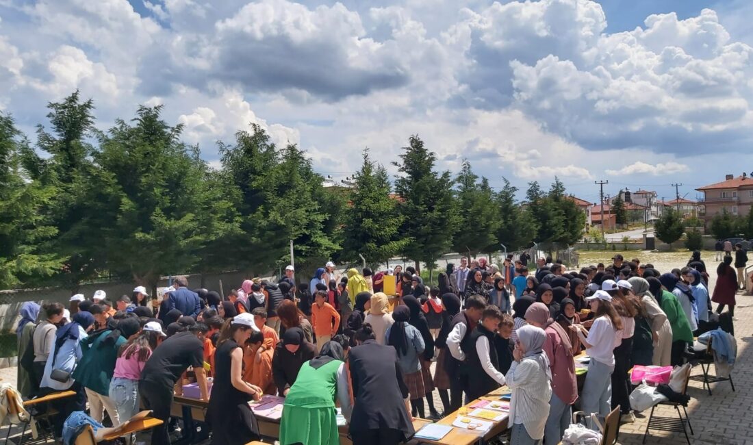 Afyon Kocatepe Üniversitesi İlköğretim Matematik Öğretmenliği öğrencilerinin Öğretim Teknolojileri ve