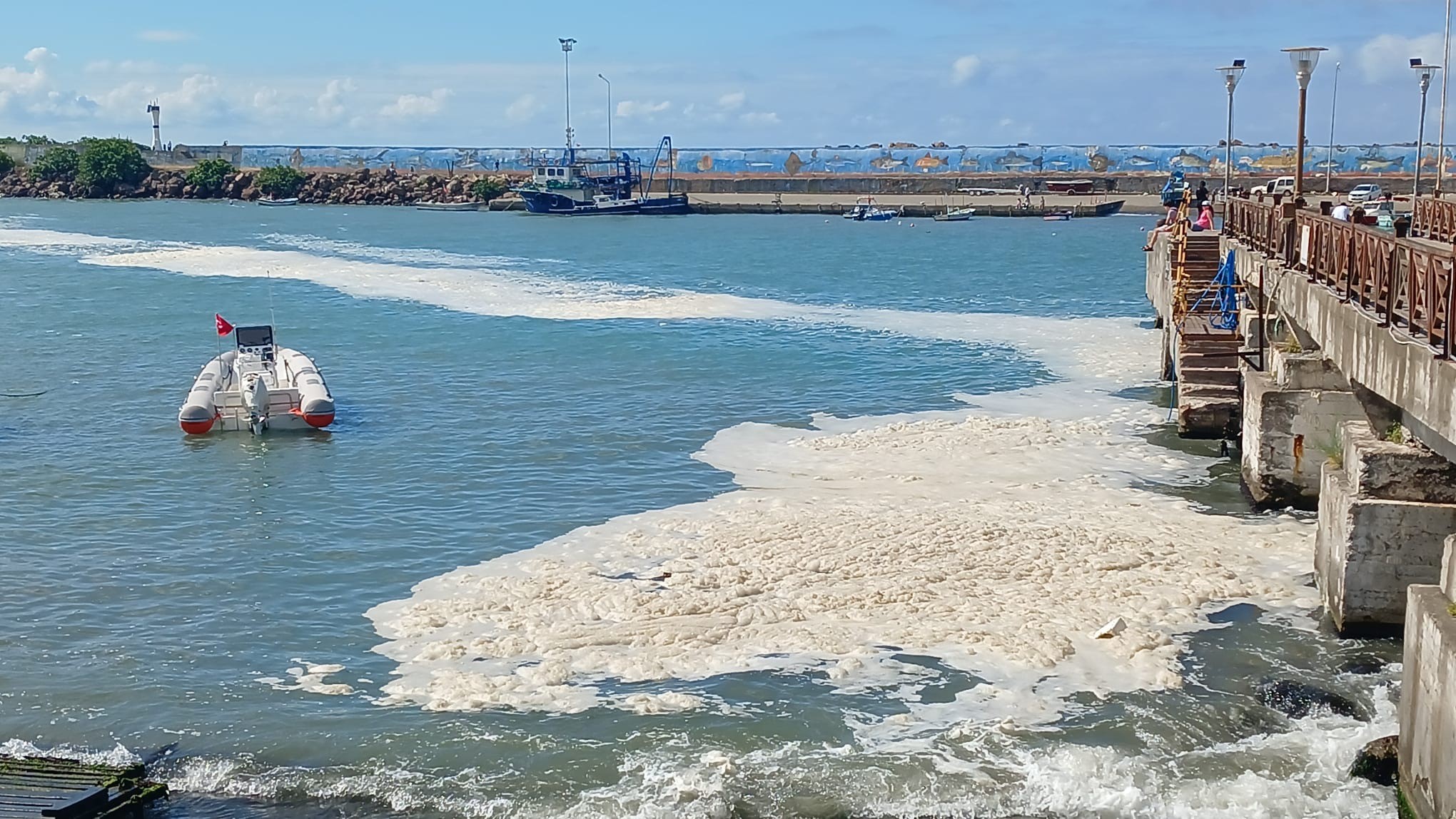 Karadeniz’e kıyısı olan Düzce’nin Akçakoca ilçesinde denizde müsilaj oluşumu dikkat