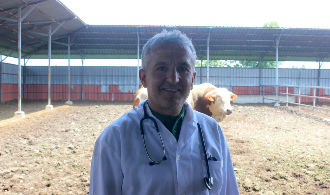 Düzce Veteriner Hekimleri Odası Başkanı Veteriner Hekim Şerif Ali Karanfil,