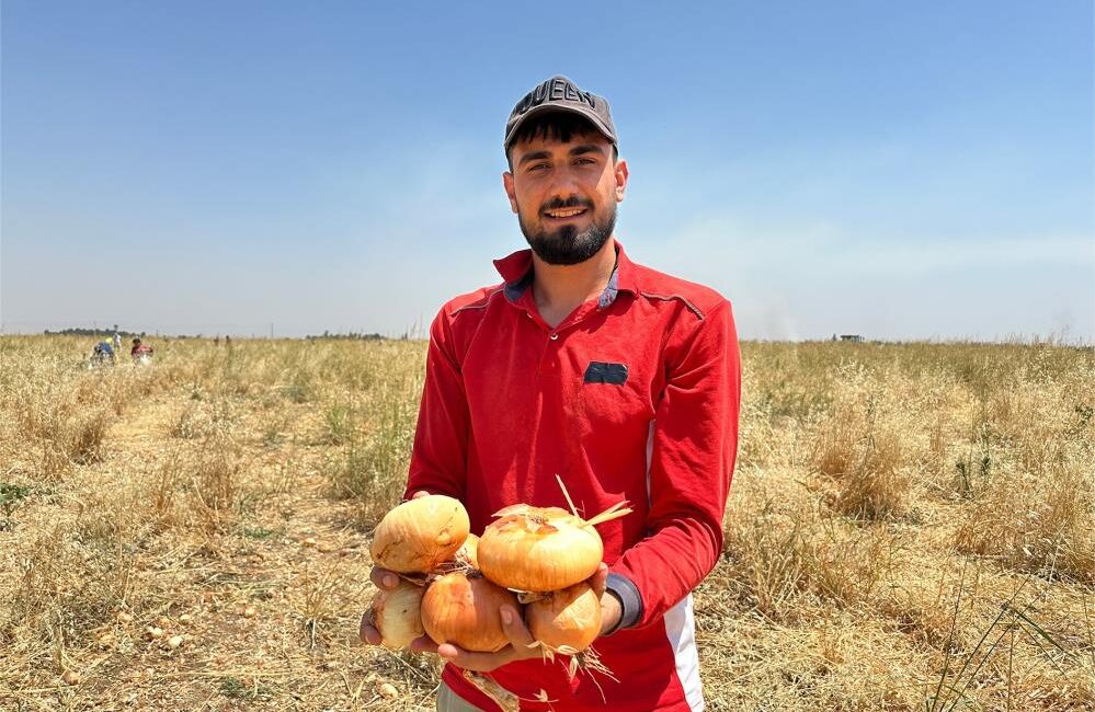 Mardin’in Kızıltepe ilçesinde çiftçilik yapan Mehmet Kaya, 15 dönüm tarlaya