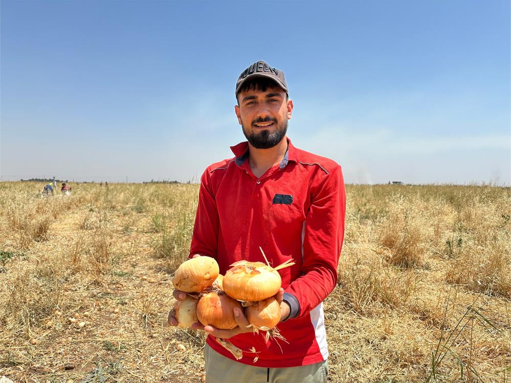Mardin’in Kızıltepe ilçesinde çiftçilik yapan Mehmet Kaya, 15 dönüm tarlaya