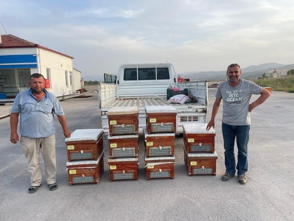 Kütahya’nın Emet ilçesinde geçtiğimiz yıl ayılar tarafından kovanları parçalanan üreticiye
