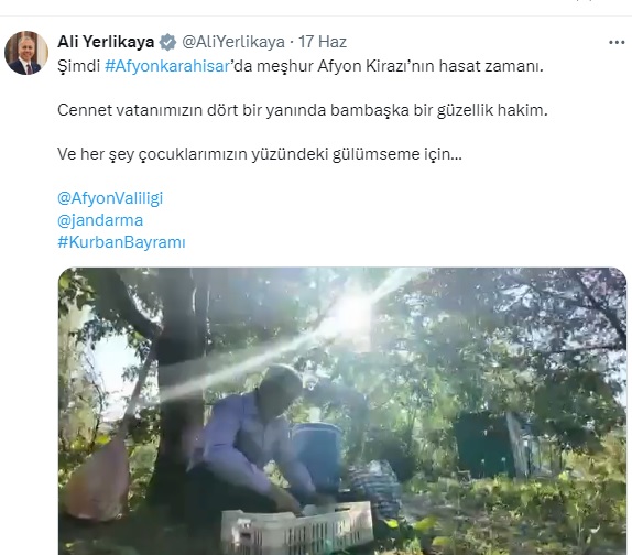 Afyonkarahisar’ın dünyaca ünlü coğrafi işaret belgesi almış kirazı hasat edilmeye