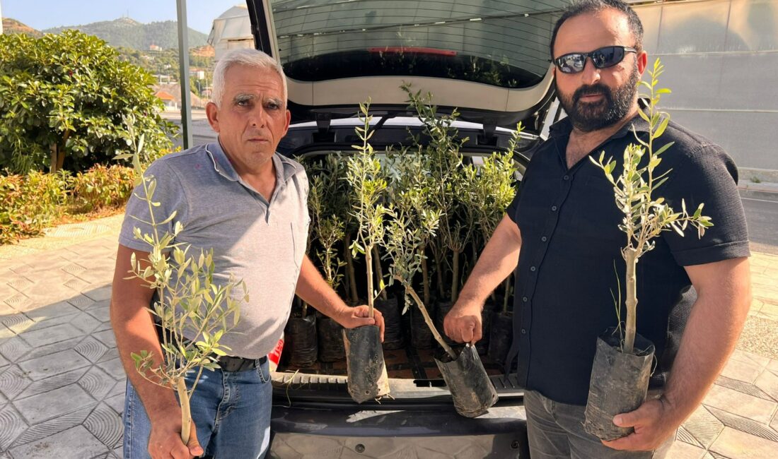 2019 yılından bu yana başta fide, fidan, tohum ve gübre