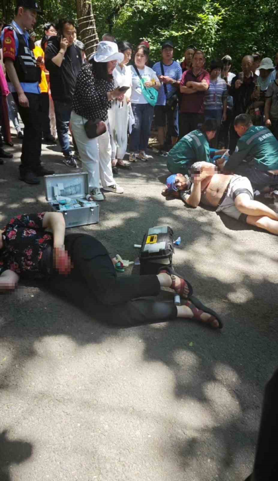 ABD’li 4 üniversite öğretmen Çin’de bir park ziyaret sırasında bıçaklı