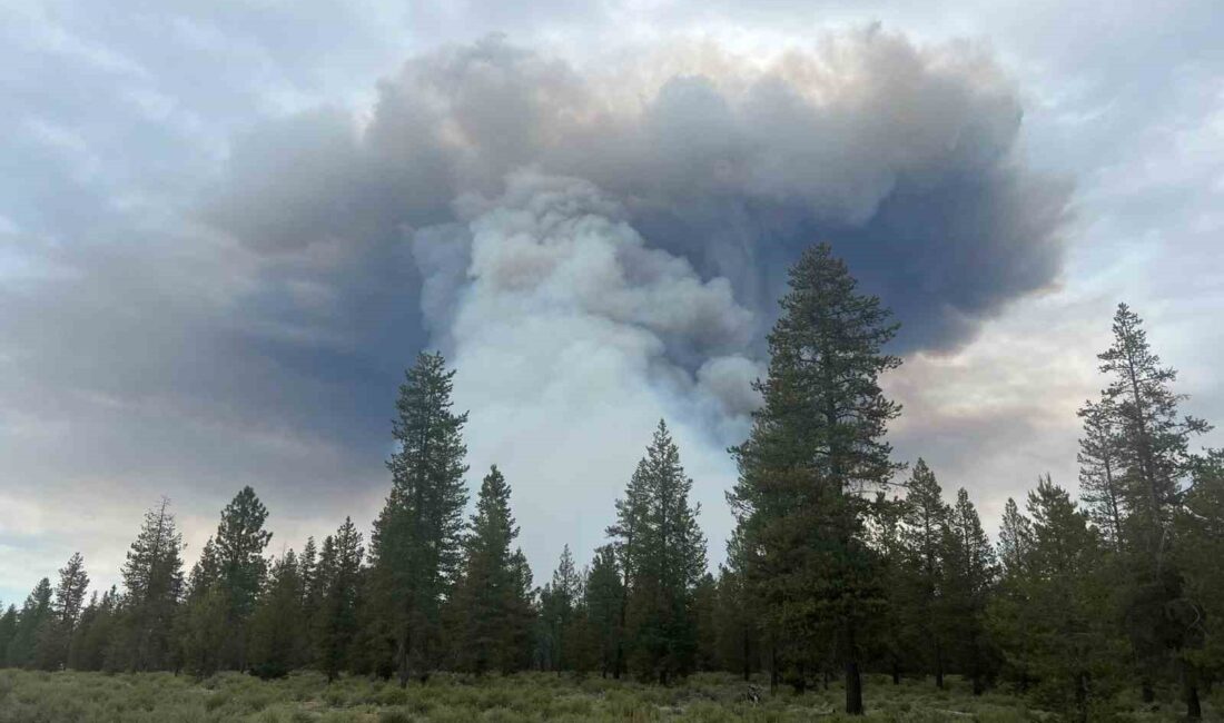 ABD’nin Oregon eyaletinde çıkan orman yangınında bin 700 dönümlük alan