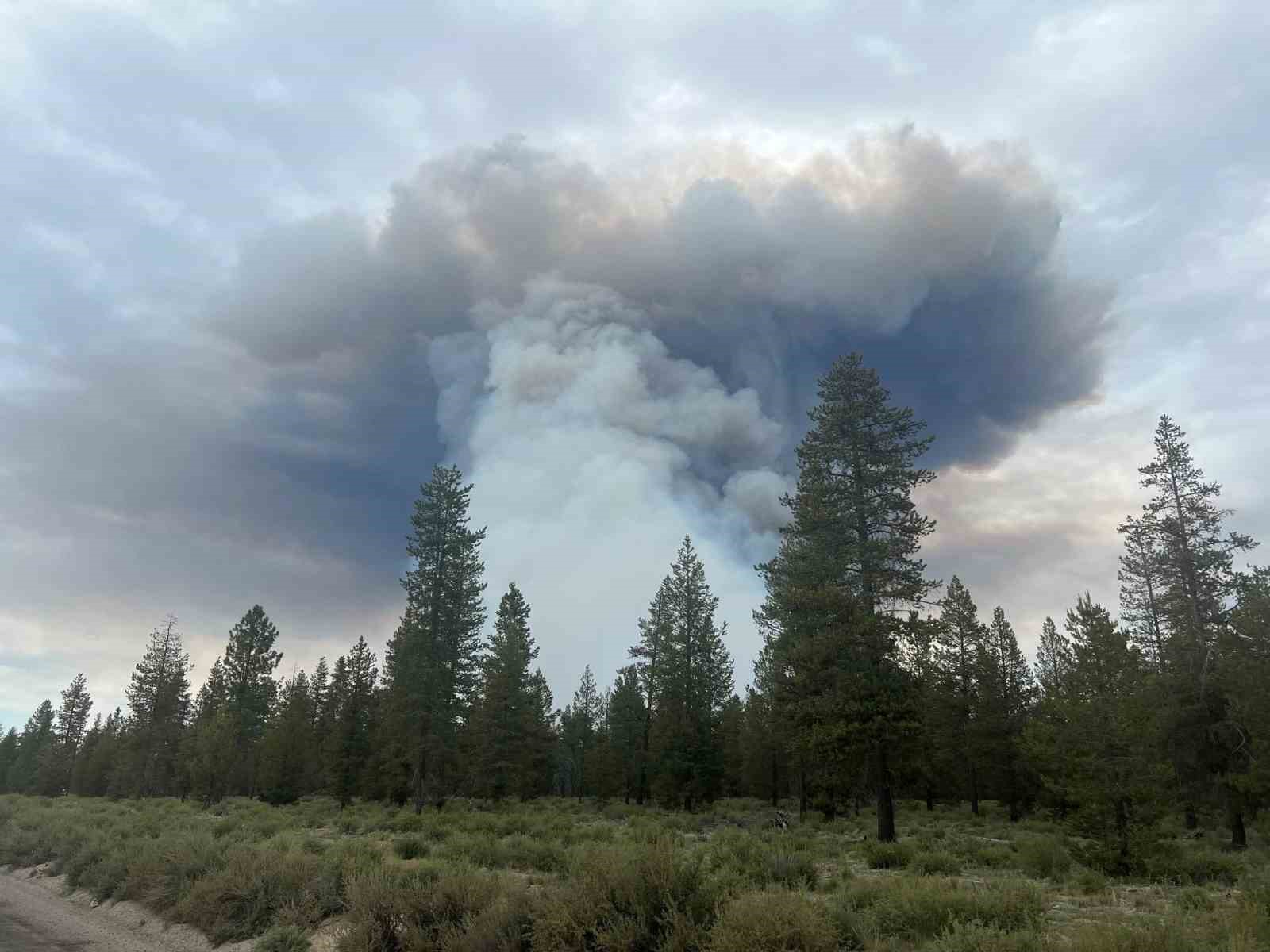 ABD’nin Oregon eyaletinde çıkan orman yangınında bin 700 dönümlük alan