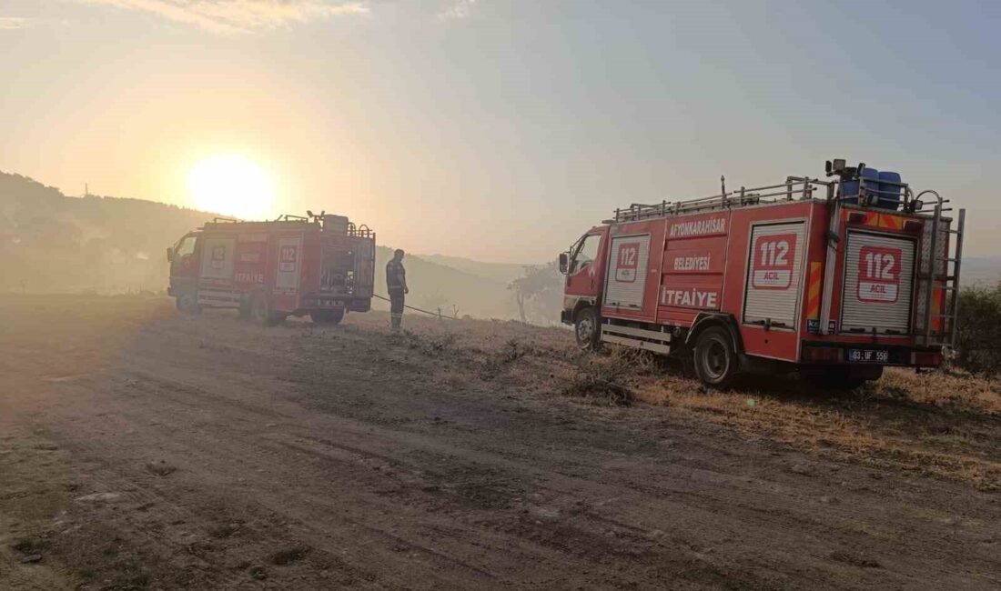 Afyonkarahisar’da ormanlık alanda çıkan yangın, itfaiye ekiplerinin yaklaşık 1 saat