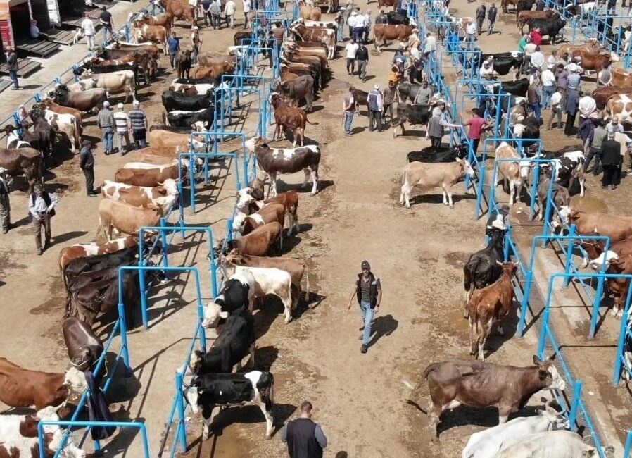 Afyonkarahisar Tarım ve Orman İl Müdürlüğü ekipleri tarafından hayvan pazarlarına