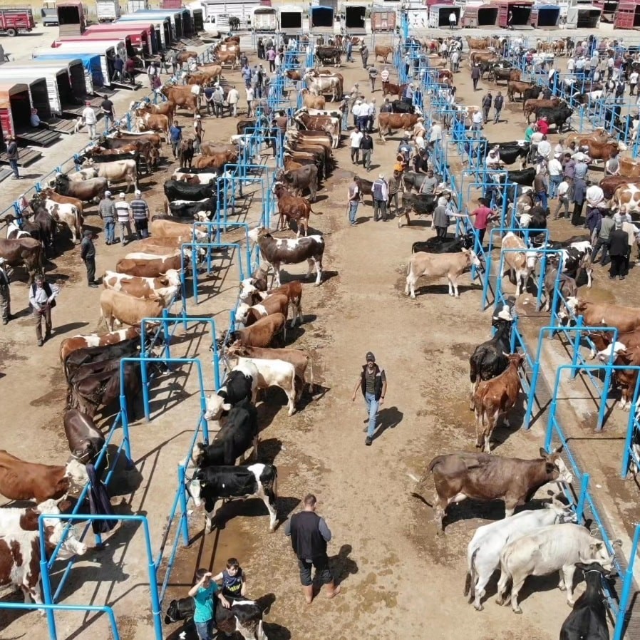 Afyonkarahisar Tarım ve Orman İl Müdürlüğü ekipleri tarafından hayvan pazarlarına