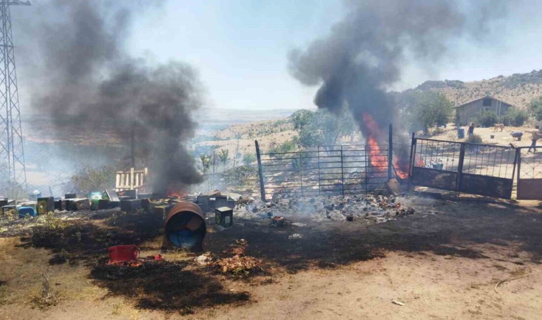 AFYONKARAHİSAR’DA ORMANLIK ALANDA ÇIKAN YANGIN İTFAİYE EKİPLERİNİN ZAMANINDA MÜDAHALESİ SÖNDÜRÜLÜRKEN,