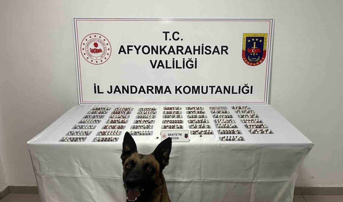 Afyonkarahisar’da İl Jandarma Komutanlığı ekipleri uyuşturucu madde satışı yapacağını belirlediği