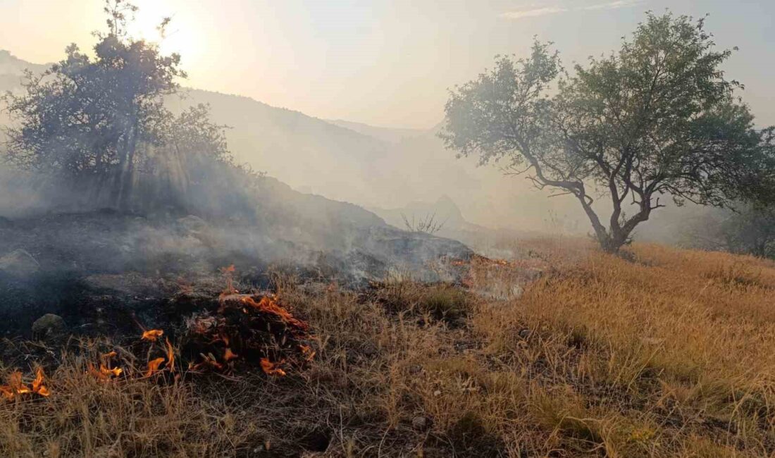 Afyonkarahisar’ın Hıdırlı Tepesi mevkiindeki ormanlık alanda yangın çıktı. İtfaiye ekiplerinri