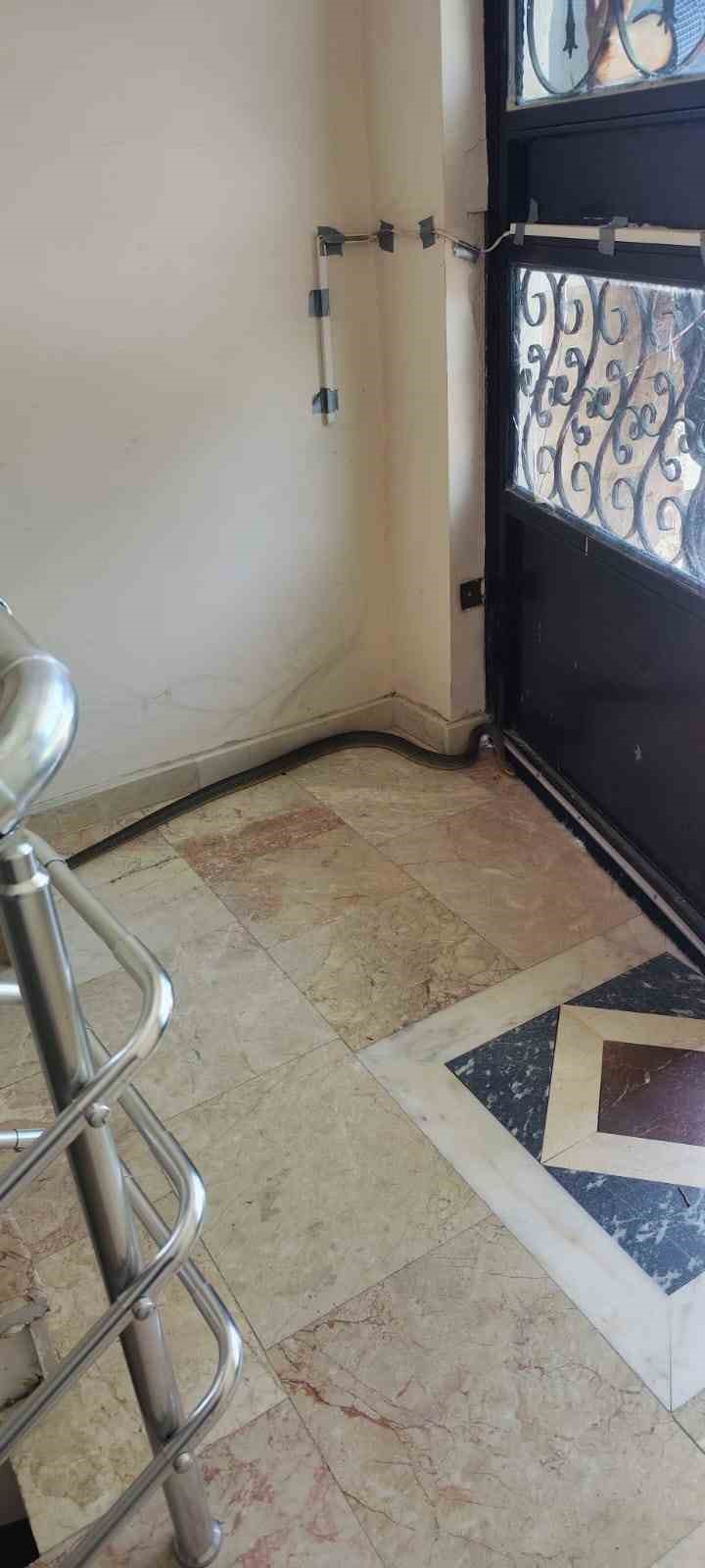 Afyonkarahisar’da bir apartmanın içerisine giren yılan kısa süreli paniğe neden