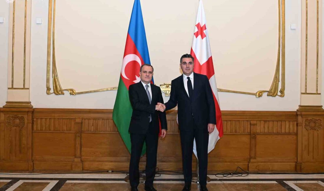 Azerbaycan Dışişleri Bakanı Ceyhun Bayramov, Gürcistan Dışişleri Bakanı İlia Darçiaşvili