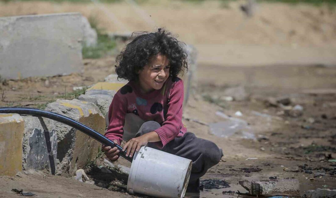 Birleşmiş Milletler Gıda ve Tarım Örgütü (FAO) ile Dünya Gıda