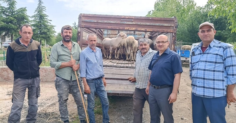 Kurban Bayramına sayılı günler kala Afyonkarahisar’daki canlı hayvan taşımacılığına yönelik
