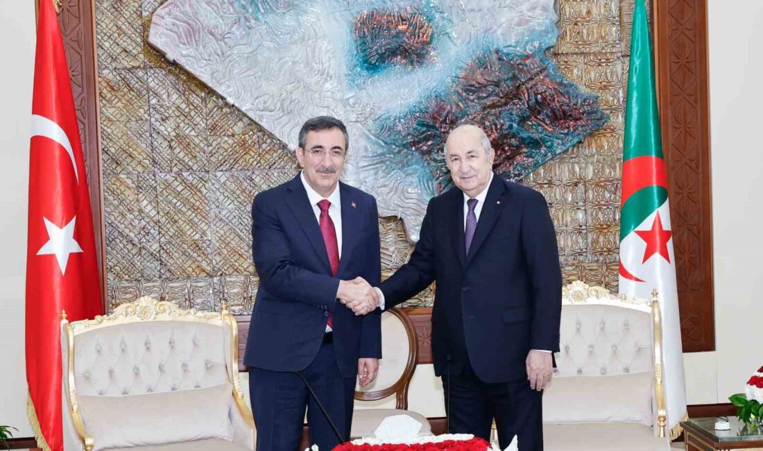 Cumhurbaşkanı Yardımcısı Cevdet Yılmaz, Cezayir temasları çerçevesinde Cezayir Cumhurbaşkanı Abdülmecid