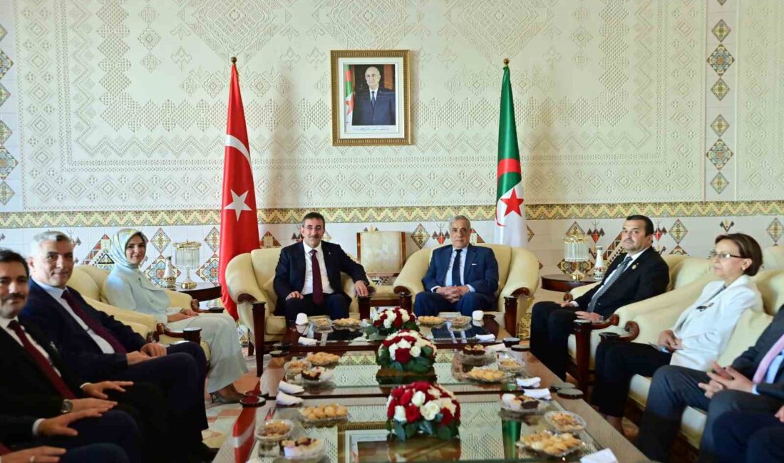 CUMHURBAŞKANI YARDIMCISI CEVDET YILMAZ, RESMİ TEMASLARDA BULUNMAK ÜZERE CEZAYİR'E GELDİ.