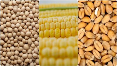 ABD’de açıklanan imalat sanayisi ve hizmet sektörü Satınalma Yöneticileri Endeksi