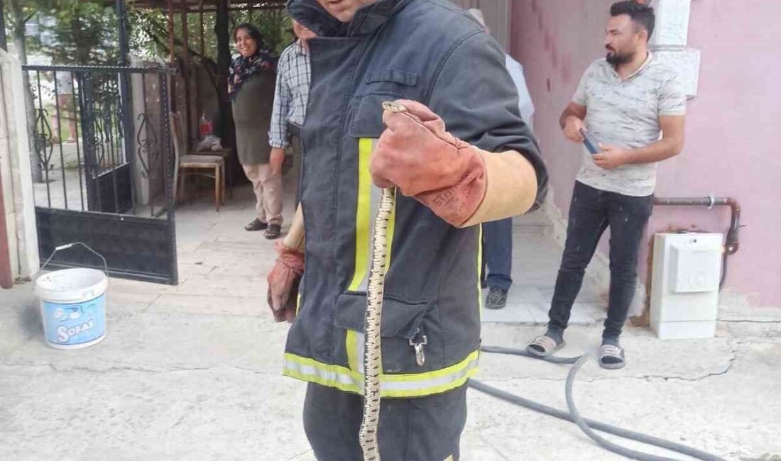 Afyonkarahisar’da eve giren yılan itfaiye ekipleri tarafından çıkarıldı. Olay, kent
