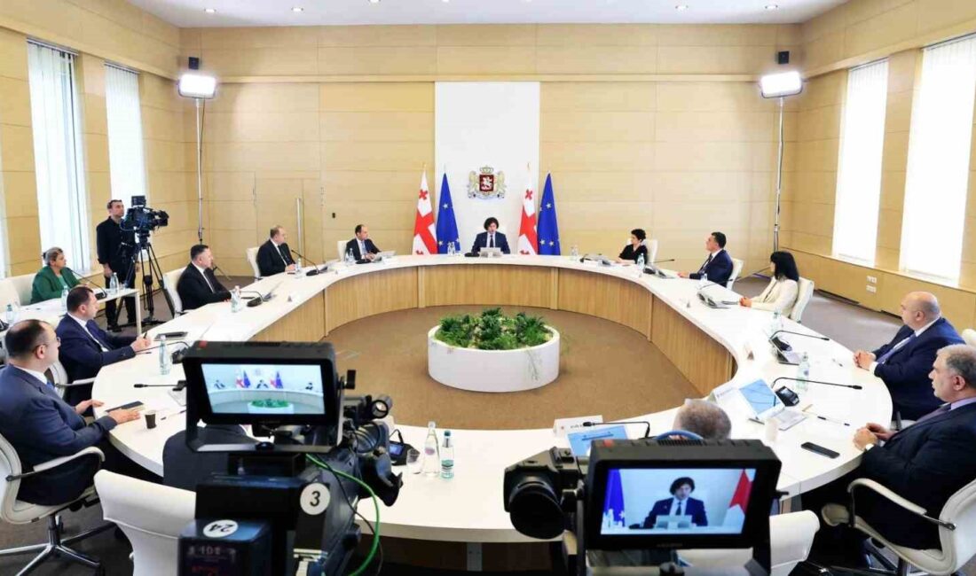 Gürcistan’da ifade özgürlüğünü kısıtlayacağı ve sivil toplum kuruluşlarını bastıracağı gerekçesiyle