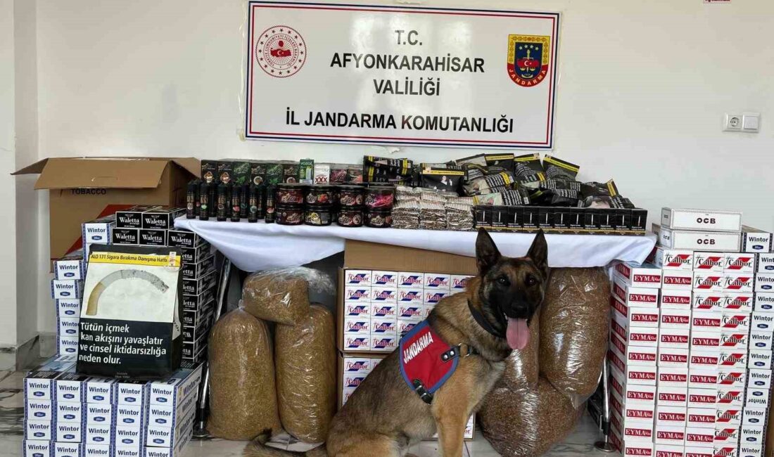 Afyonkarahisar’da jandarma tarafından düzenlenen operasyonda 90 bin 800 adet çeşitli