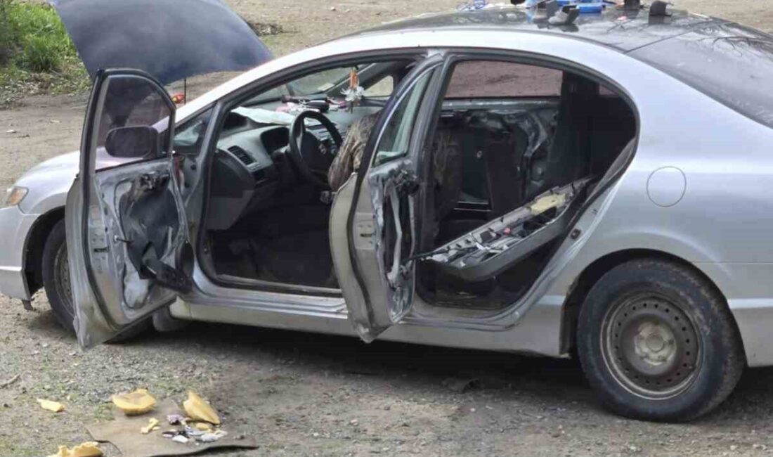 Kanada’da bir otomobilin içine giren ayı, aracın koltuklarını ve ön