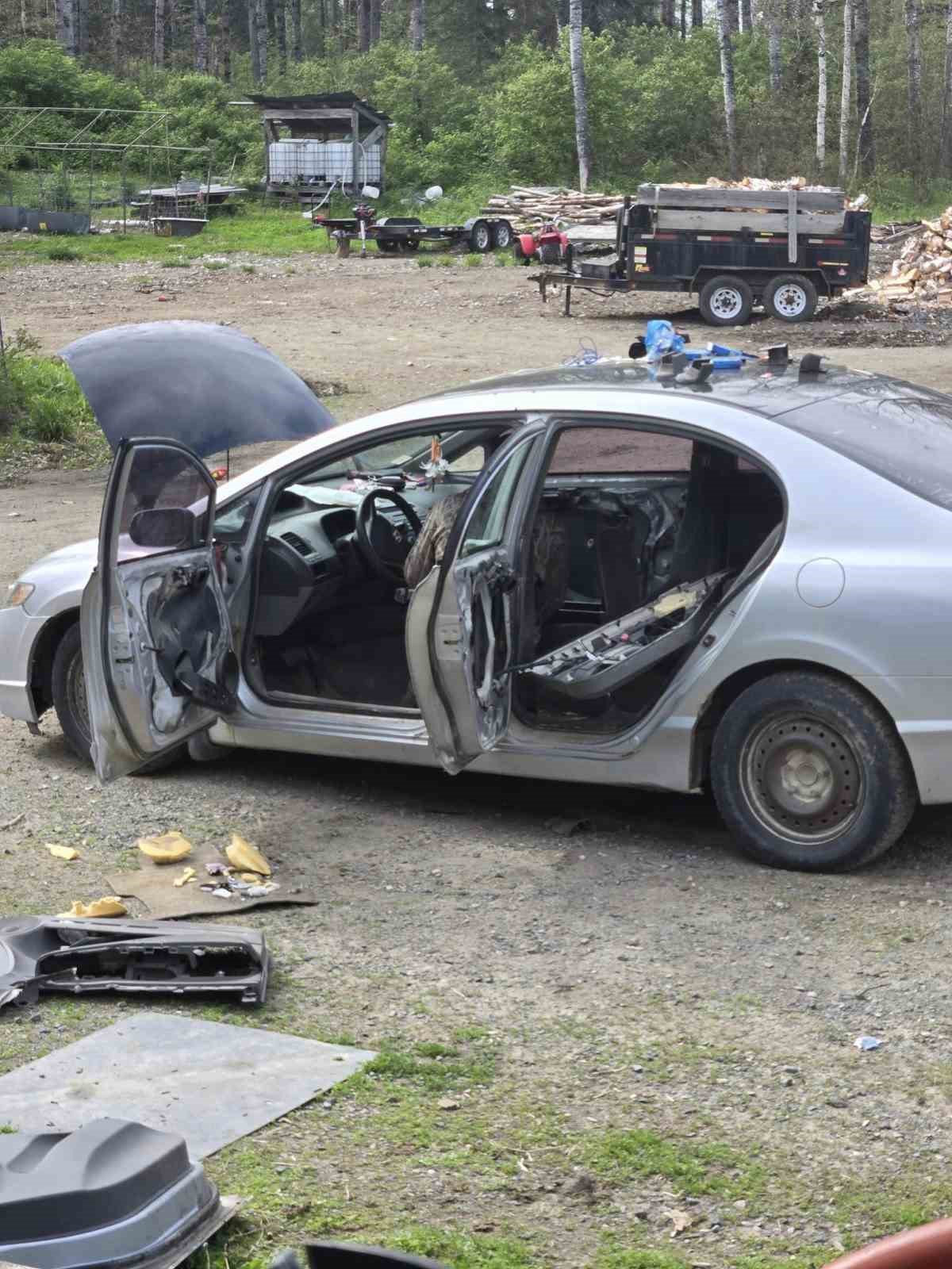 Kanada’da bir otomobilin içine giren ayı, aracın koltuklarını ve ön